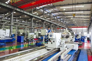 多元發展促轉型